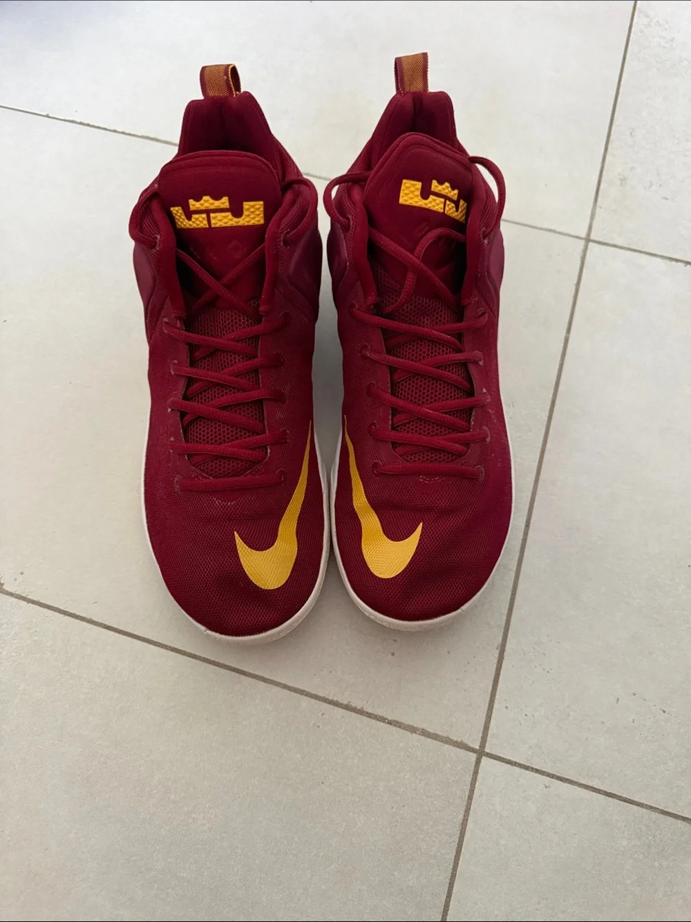 Nike LeBron witness V(5) basketball shoes